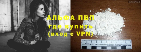 сатива Белокуриха