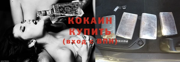 прущий лед Богородицк