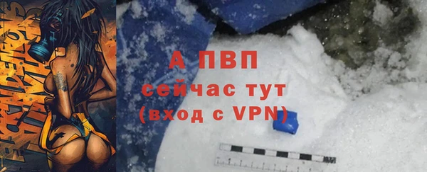 mdpv Богородск