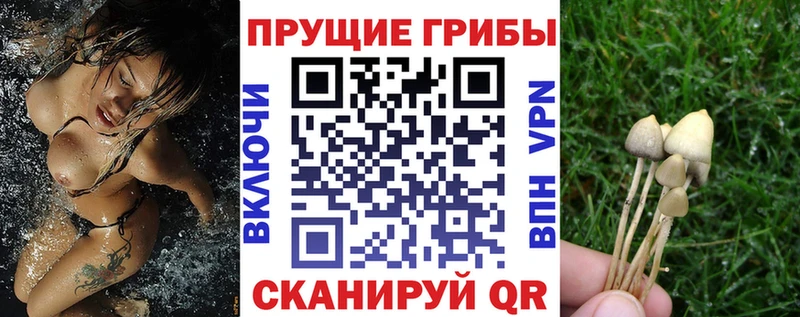 Псилоцибиновые грибы MAGIC MUSHROOMS  kraken как зайти  Верхняя Салда 